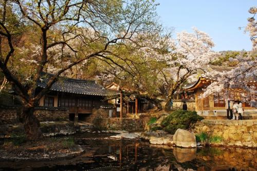 우암사적공원에서