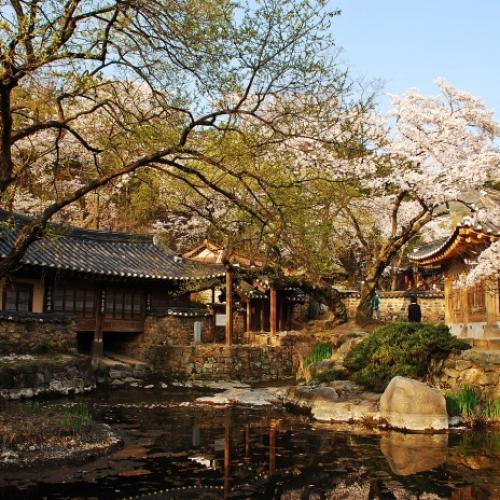 우암사적공원에서