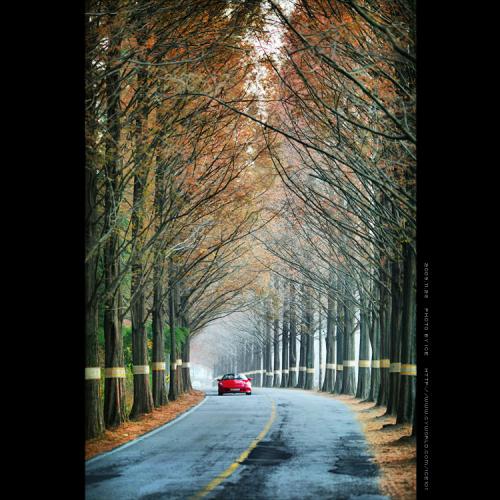 주말에 잠시....