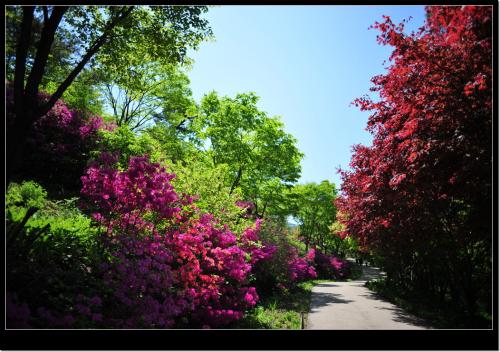 계절의 여왕 5월에