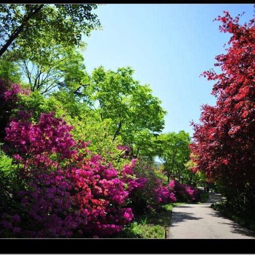 계절의 여왕 5월에