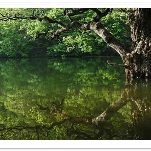 주산지를 다녀오다..