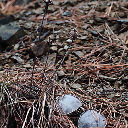 오늘 아침엔148-2(유품)