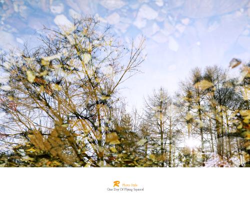 홈 이전 후 첫포스팅..