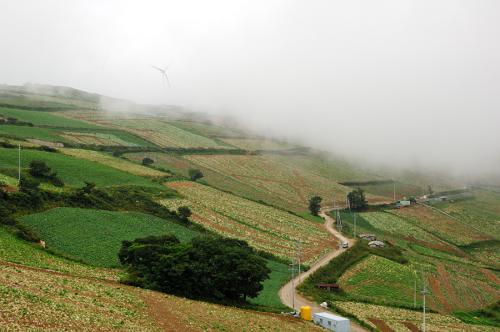태백 매봉산 풍력발전단지