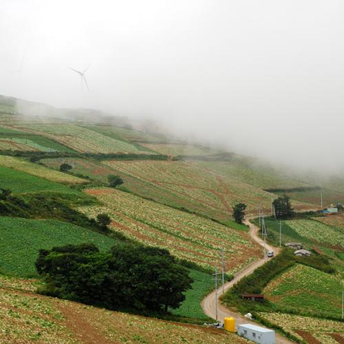태백 매봉산 풍력발전단지