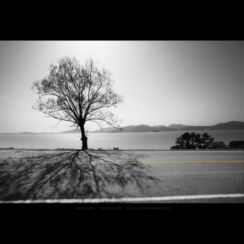 무엇과 무엇의 사이...