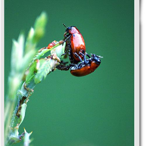 오늘아침엔79탄