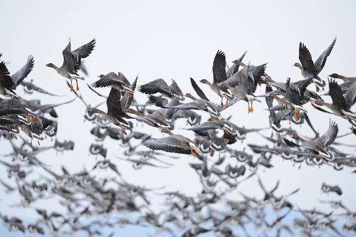 시원한 날개짓으로