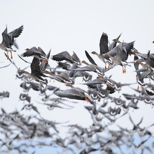 시원한 날개짓으로