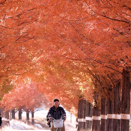 정기출사중에서...