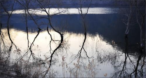 대청호가는 길에