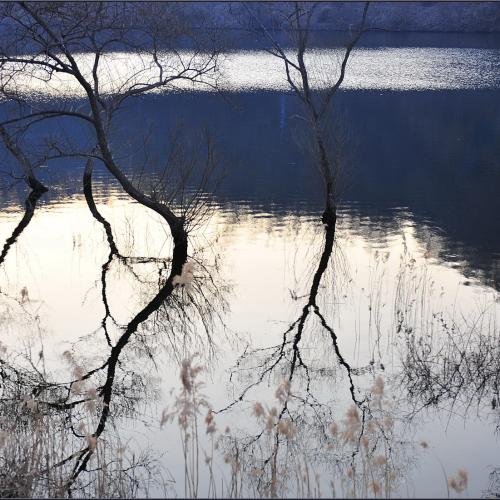 대청호가는 길에