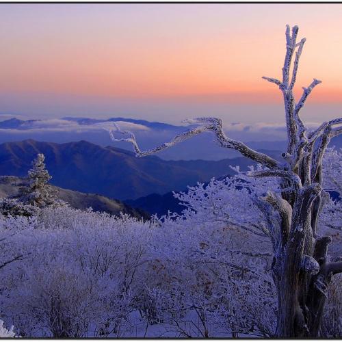 덕유산의 아침 !