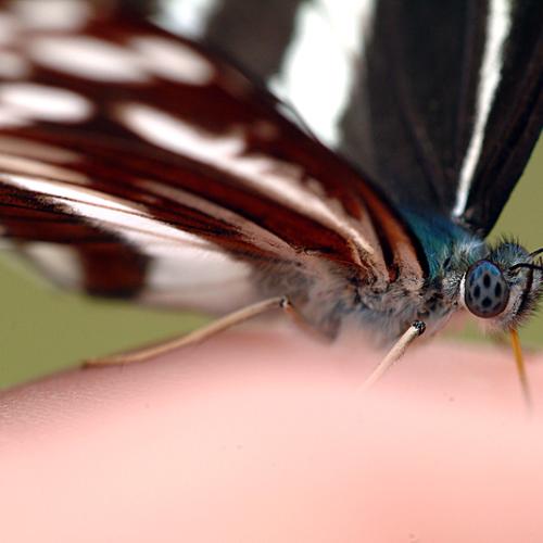 오늘 아침에191탄