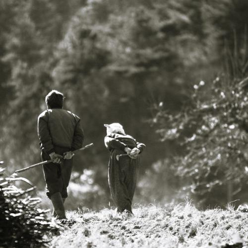 아름다운 동행...