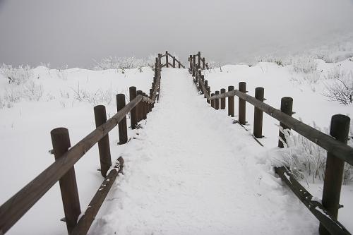 따뜻한곳을 찾아