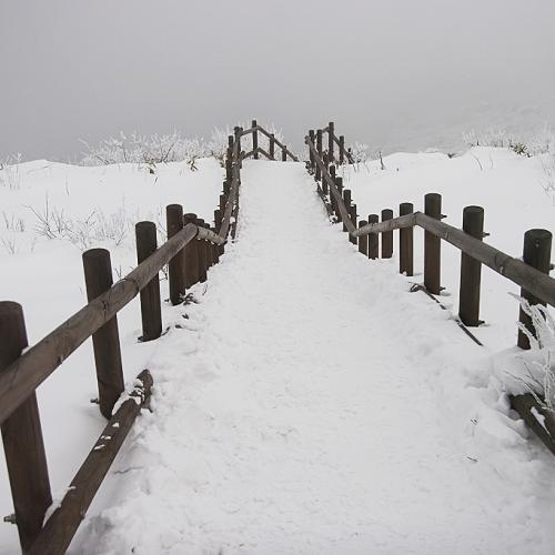 따뜻한곳을 찾아