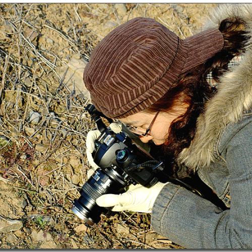 빗방울님, 반달이님, 옛풍님..