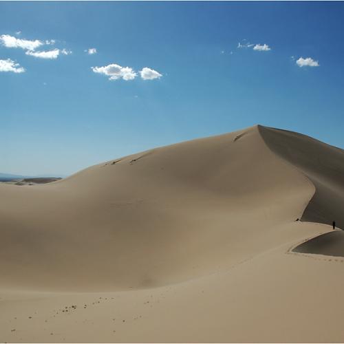 드디어 선보이는 고비사막..