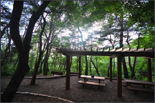 [D3] 칠갑산 산마루에서