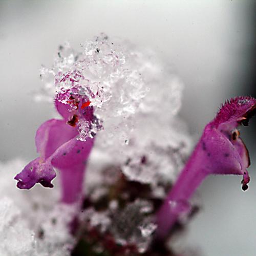 오늘 아침엔149탄