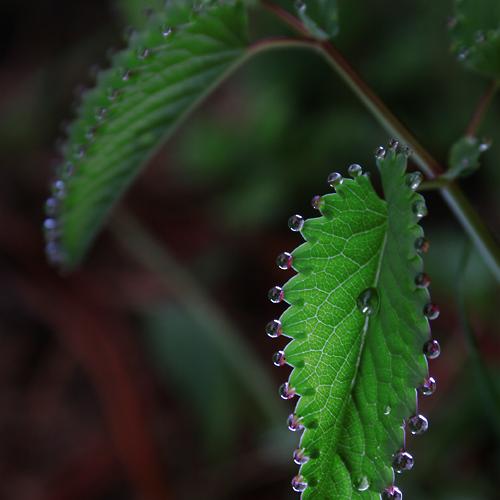 흐뿌연 세상... ㅡㅡ