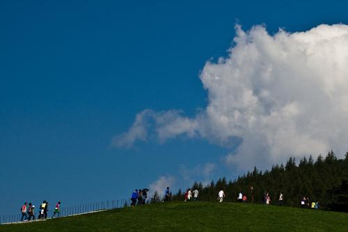 양떼 목장에 사람떼만....