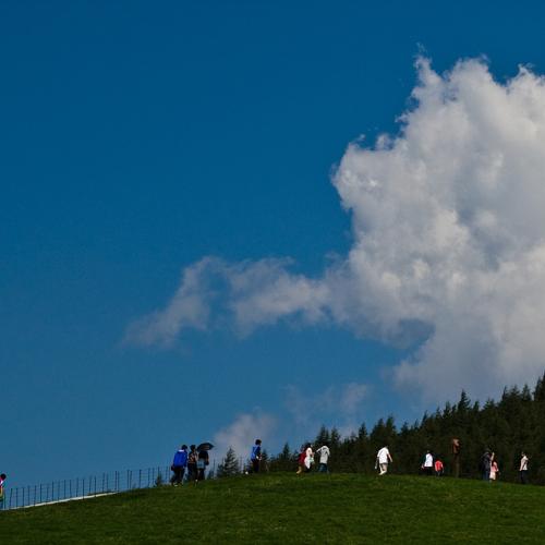 양떼 목장에 사람떼만....