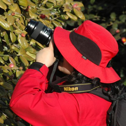 동백꽃보다 예쁜.....