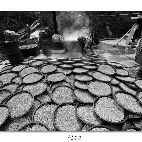 군산...선유도(장자도)에서..