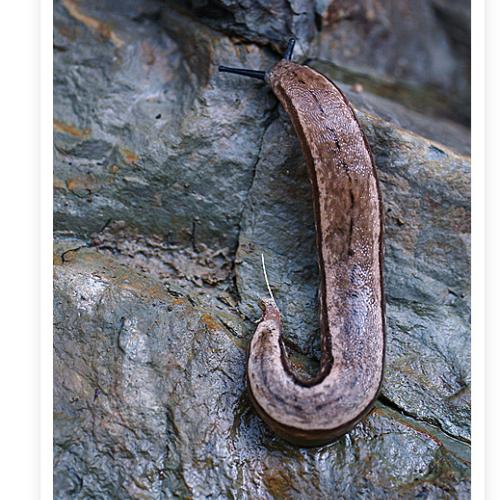 오늘 아침엔80-2탄(이거이 무어냐?)