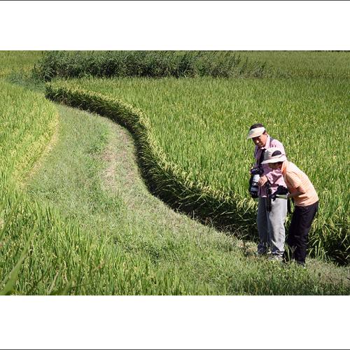 남뜰님&빗방울님