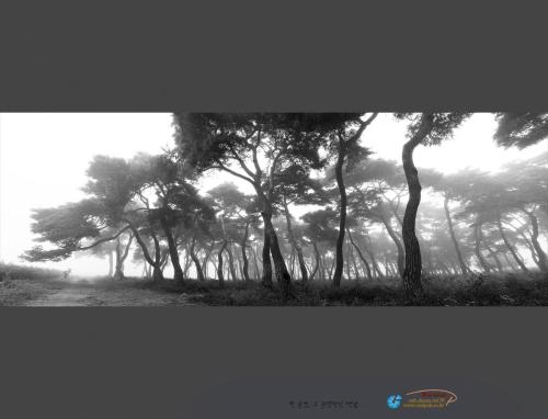 세상사람들에게 .....1