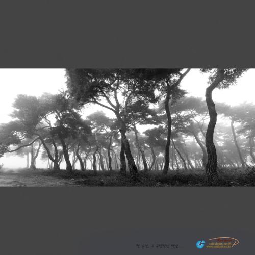 세상사람들에게 .....1