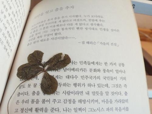 가끔 일어나면 기분 좋은 일