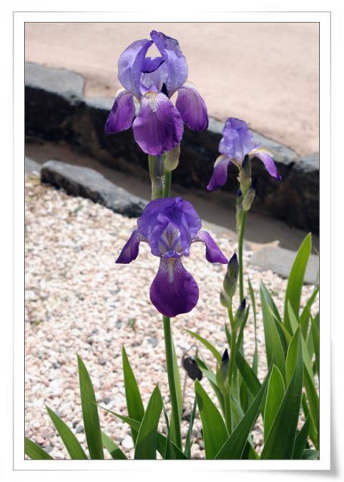 한밭수목원에서