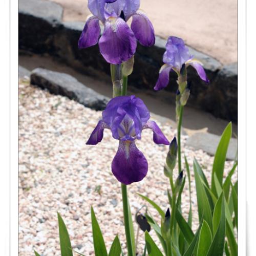 한밭수목원에서