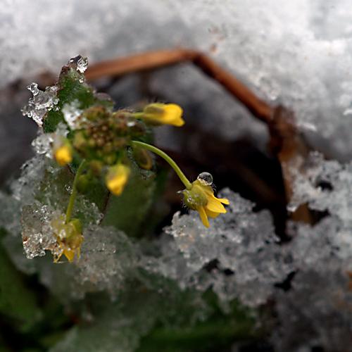 오늘 아침엔149-2탄