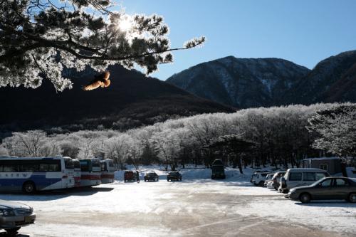 제주에서 몇 컷 (2)