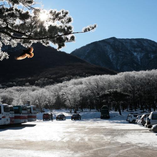 제주에서 몇 컷 (2)