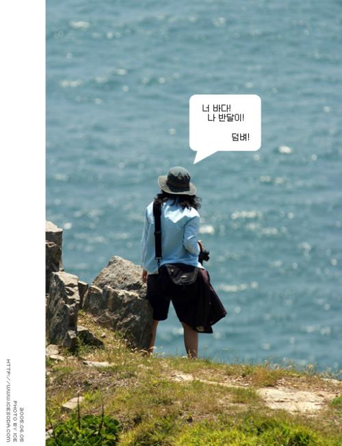 너 바다! 나 반달이!   덤벼!