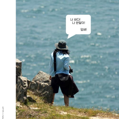 너 바다! 나 반달이!   덤벼!