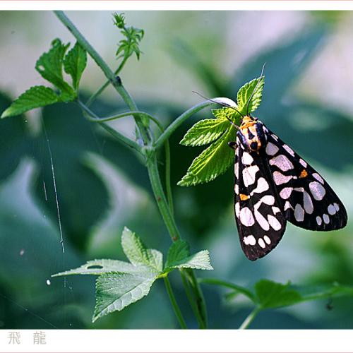 오늘 아침엔80-3탄