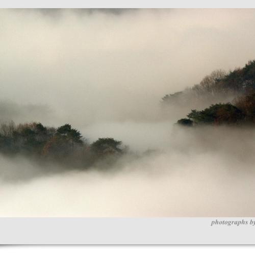 산수화로 그린 옥정호