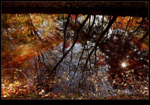 선운사 도솔천 반영