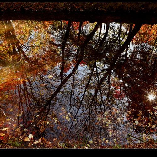 선운사 도솔천 반영