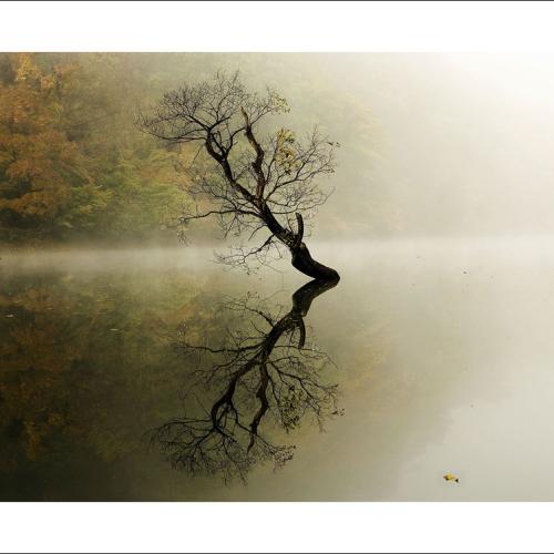 가을 주산지는...