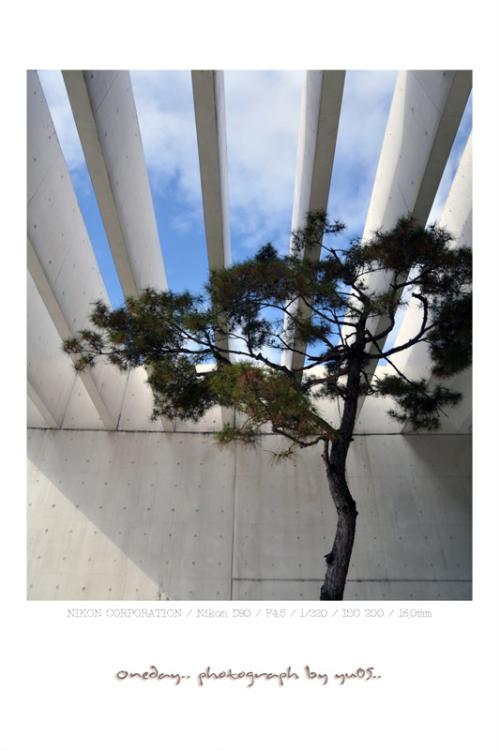 늦가을 이응노 미술관