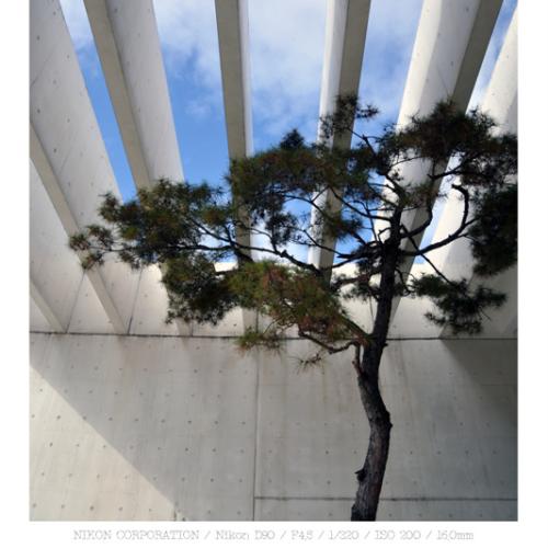 늦가을 이응노 미술관